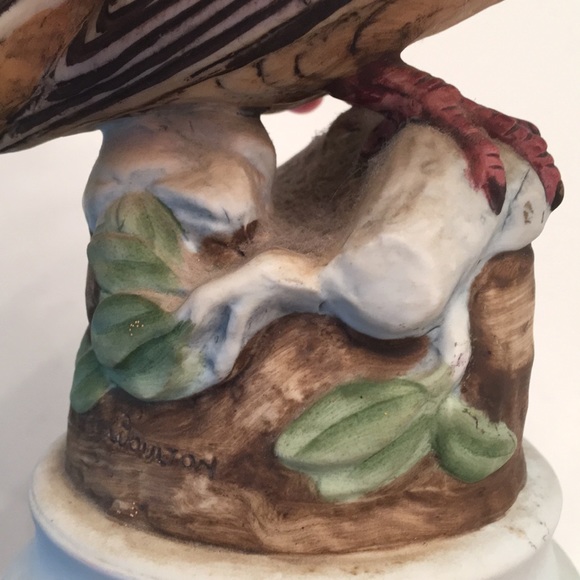 Mourning Dove - Picture 4 of 7